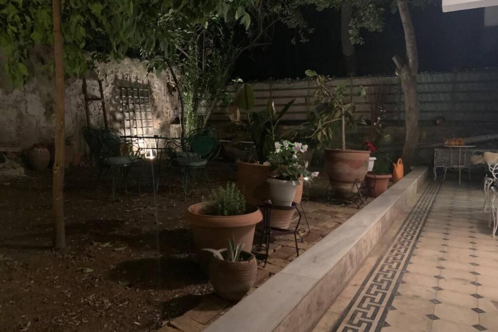 Quiet And Central Flat With Private Backyard Garden Atina Dış mekan fotoğraf