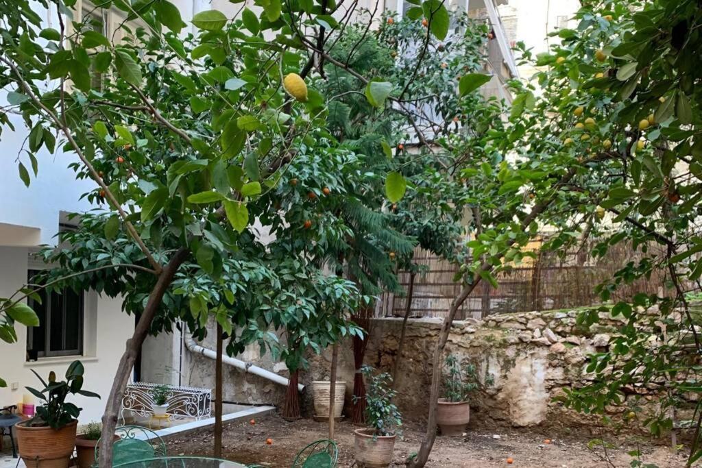 Quiet And Central Flat With Private Backyard Garden Atina Dış mekan fotoğraf